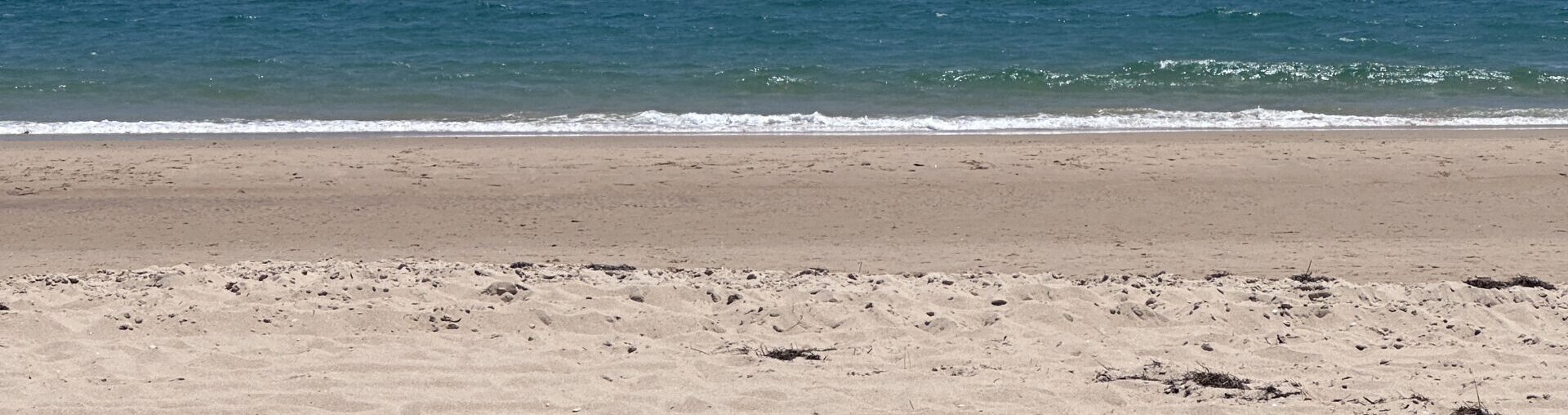 Ilha de Tavira (Tavira Island)