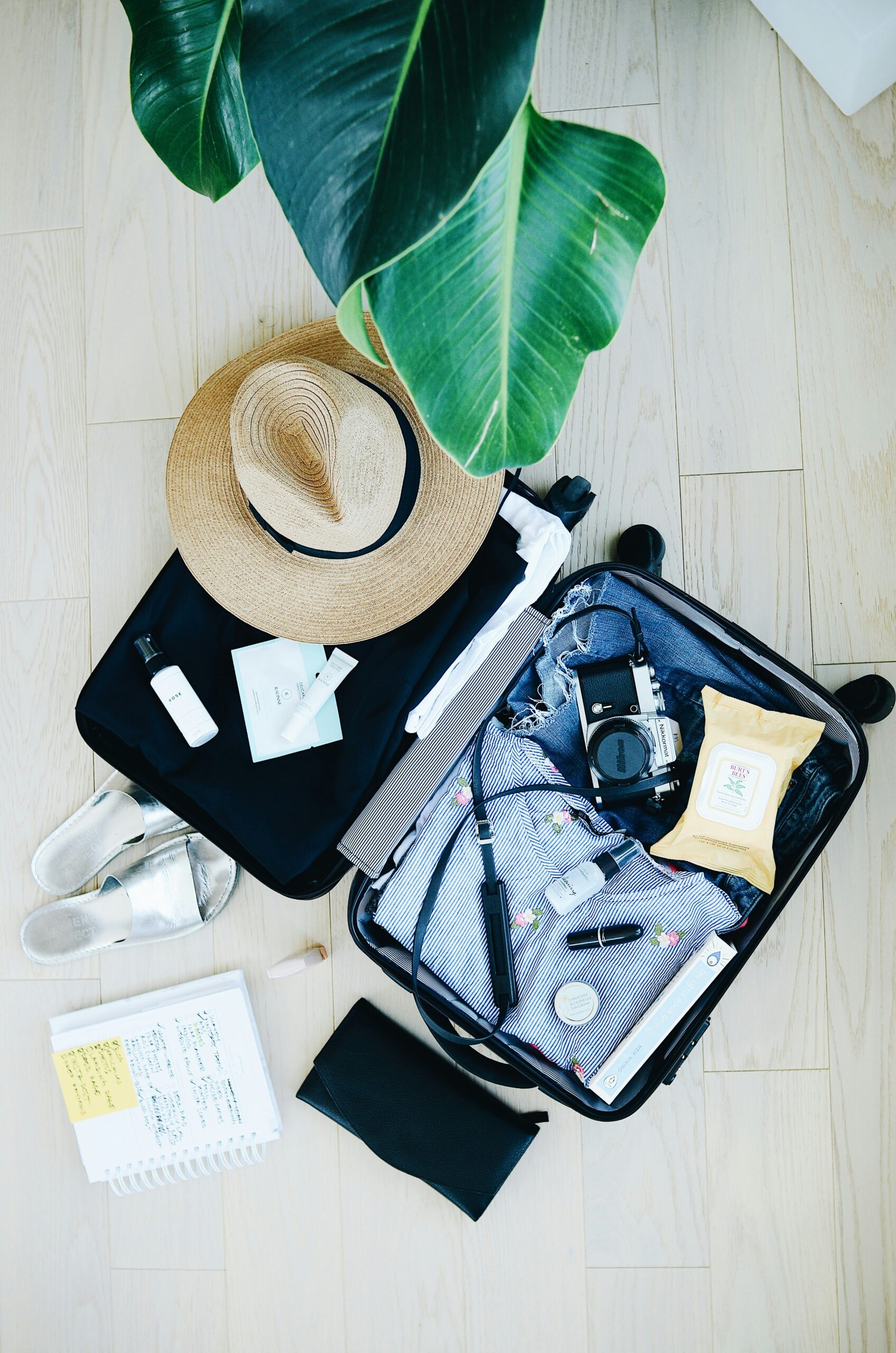 Travel Insurance